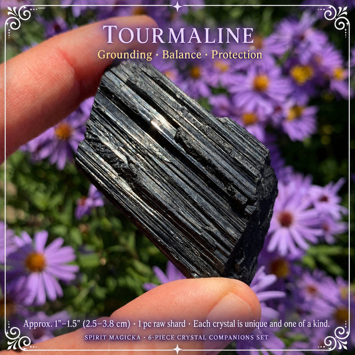 A ridged black tourmaline piece held in fingertips in front of purple flowers