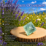 Σετ θήκης Crystal Essence Fusion