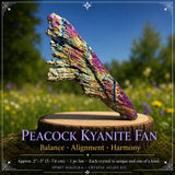 Masterclass Crystal Magicka: Corso di Cristallo - SCONTO DEL 75%.