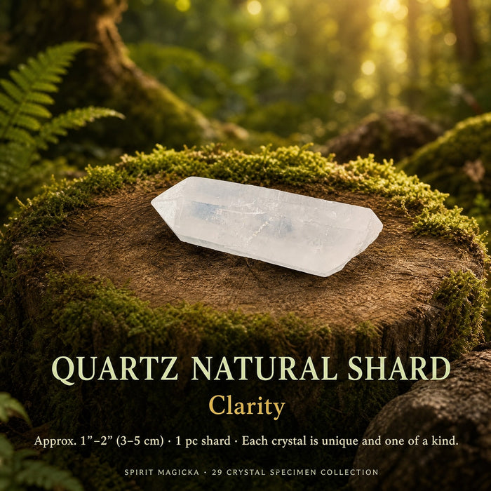 Clear quartz shard with a pointed end on a mossy stump