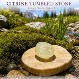 Κιτ 56 τεμαχίων Crystal Super Bundle 👉 ΕΞΟΙΚΟΝΟΜΗΣΗ 75%