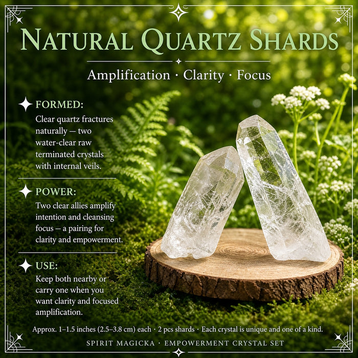 Two water-clear quartz shards leaning together on a wood slice