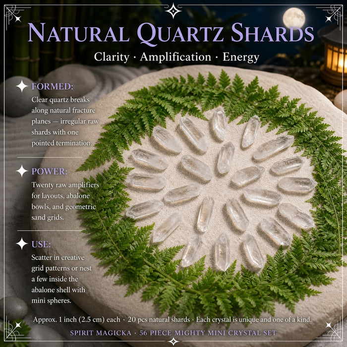 Clear quartz shards arranged in a circle on sand inside a ring of ferns