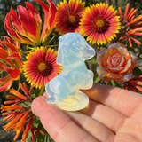 Year of the Fire Horse – Opalite & Companions Power Set