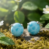Larimar & Silver Stud Earrings