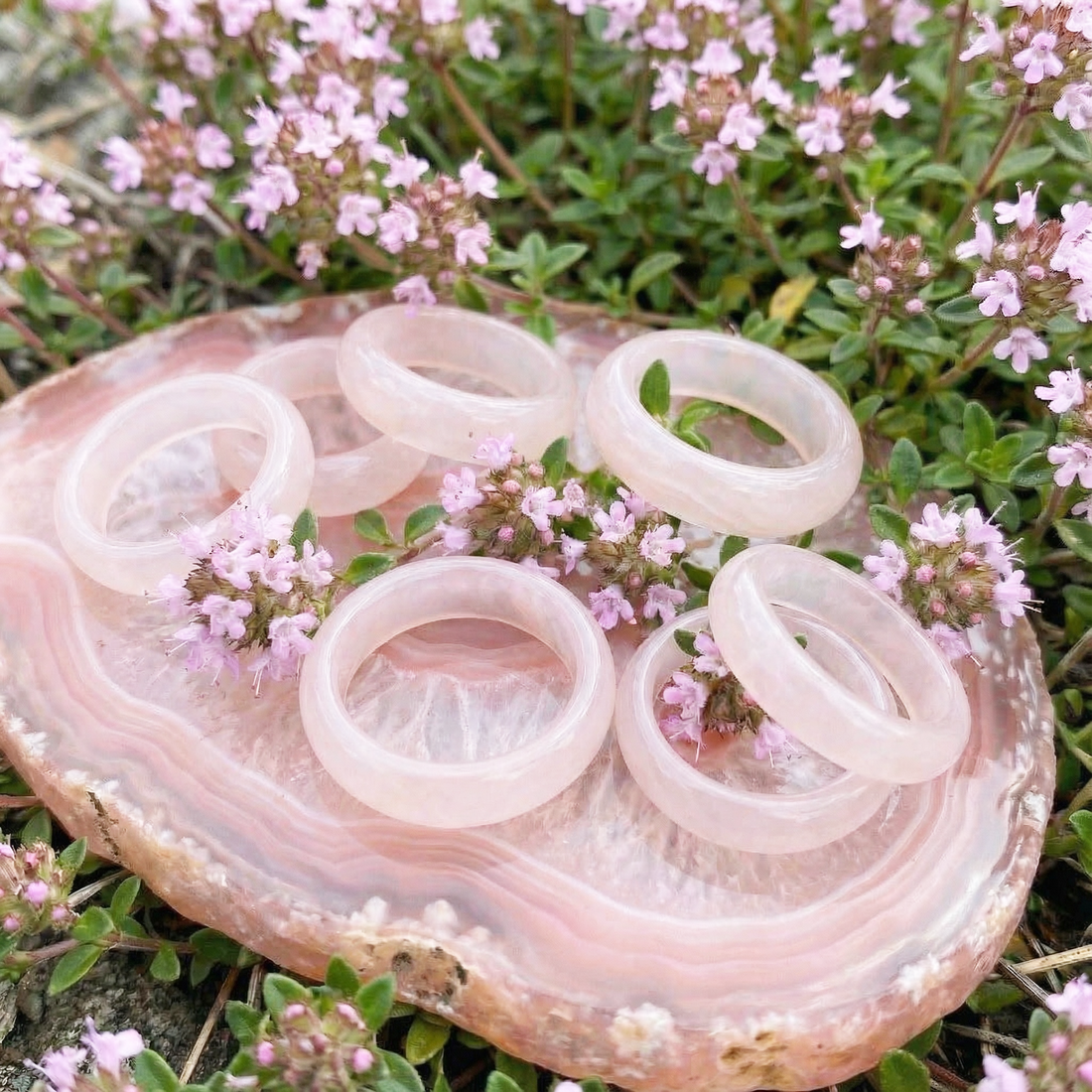 Seven pale pink agate rings arranged on a pink agate slab among small pink flowers