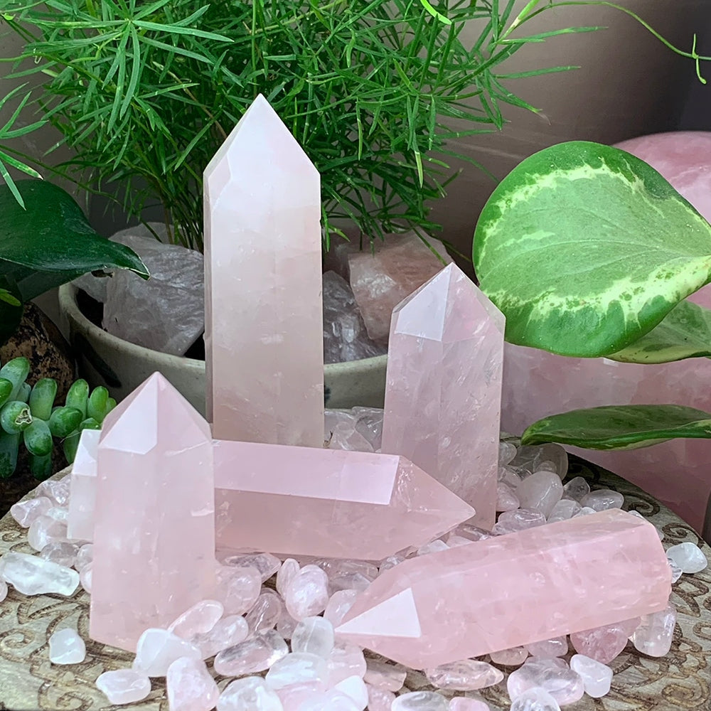 Several rose quartz points of different heights and shapes, standing and lying on tumbled quartz among house plants
