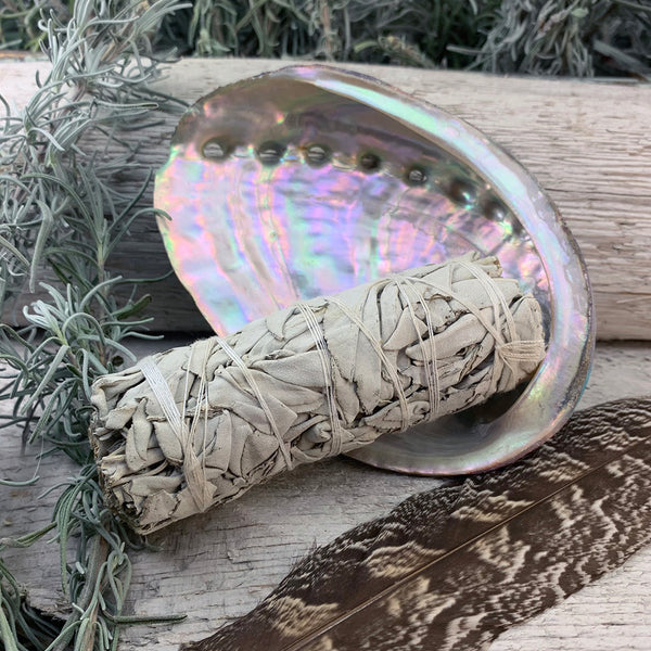 Smudge Kit: White Sage (4-Inch) + Abalone Shell
