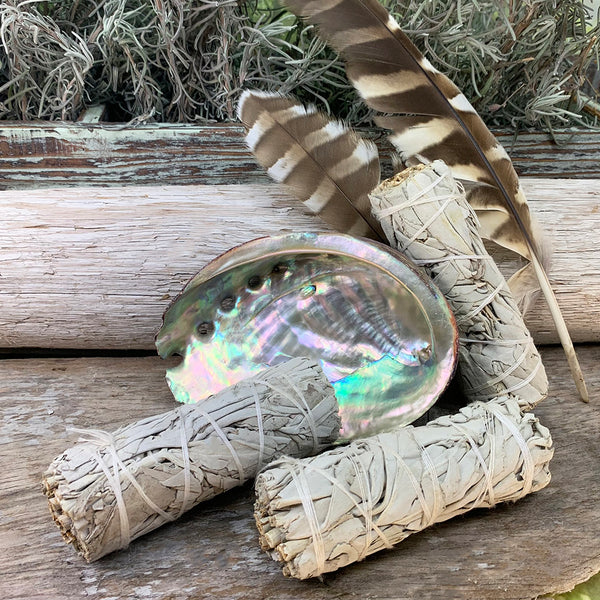 Smudge Kit: White Sage (4-Inch) + Abalone Shell