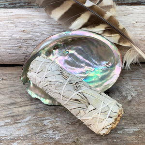 Smudge Kit: White Sage (4-tommer) + Abalone Shell