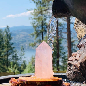 5-Piece Crystal Point Set only $29 1-Day-Promo Sale