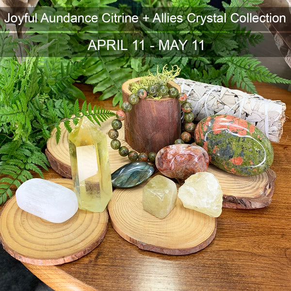 Crystal Collectors Surprise Treasure Box (abonnement mensuel)