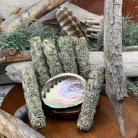 Smudge Kit: White Sage (6-tommer) + Abalone Shell