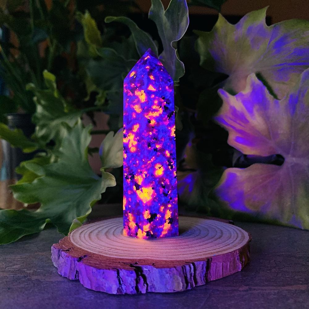 Yooperlite point under UV light, its sodalite glowing in bright orange and gold sparks against violet stone