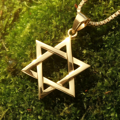 Close-up of the interlaced gold Star of David pendant on its box chain, resting on moss