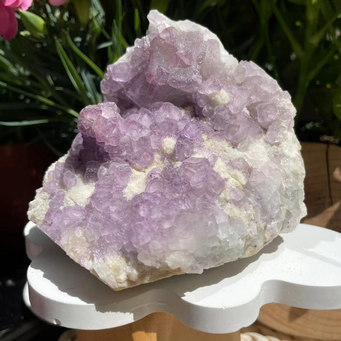 The purple fluorite cluster on a white stand, covered in soft lavender cubic crystals on a pale matrix