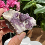 Large (1,67 lbs.) Purple Flash Labradorite Freeform (vare #1017)