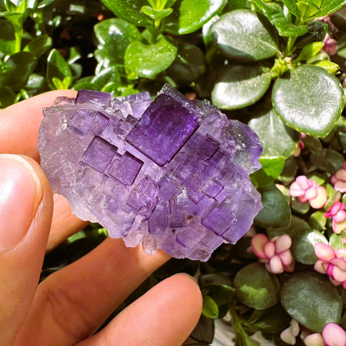 Grand (1,19 lb) Purple Flash Labradorite Freeform (article n ° 0077)