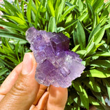 Großer (1,19 lbs.) Purple Flash Labradorit Freeform (Artikel #0077)