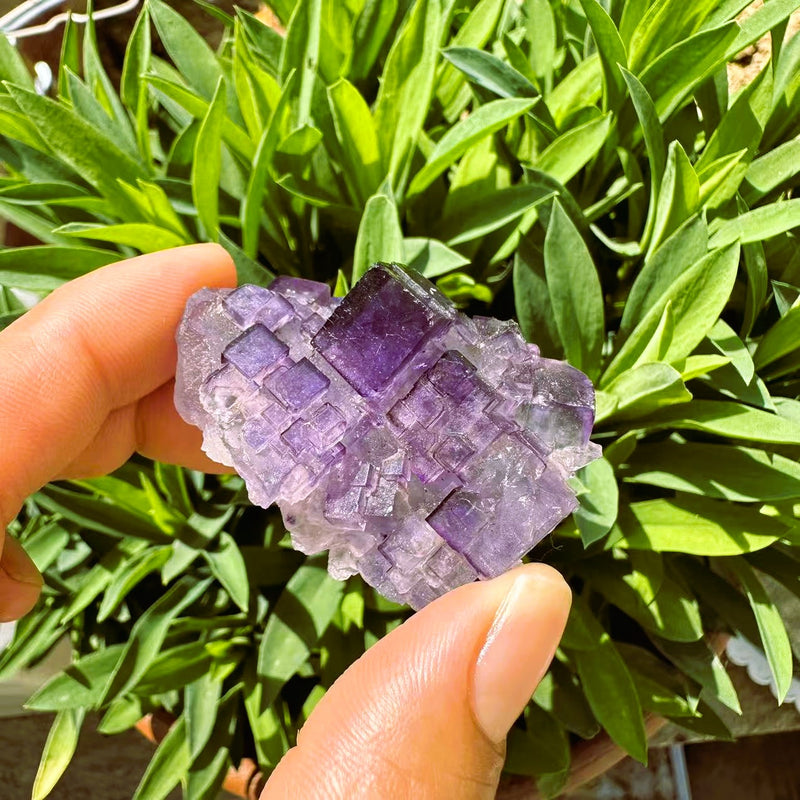 Großer (1,19 lbs.) Purple Flash Labradorit Freeform (Artikel #0077)
