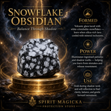 Dark Energy Guardian Box Kit