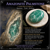 60 % rabatt på Amazonite Palmstone kun 1 dag