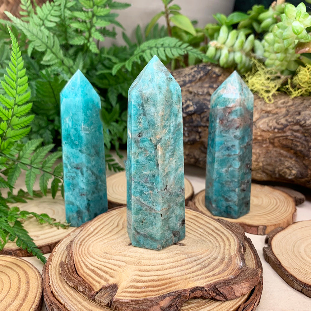 Three polished aqua-green amazonite points standing on wooden rounds among ferns and succulents