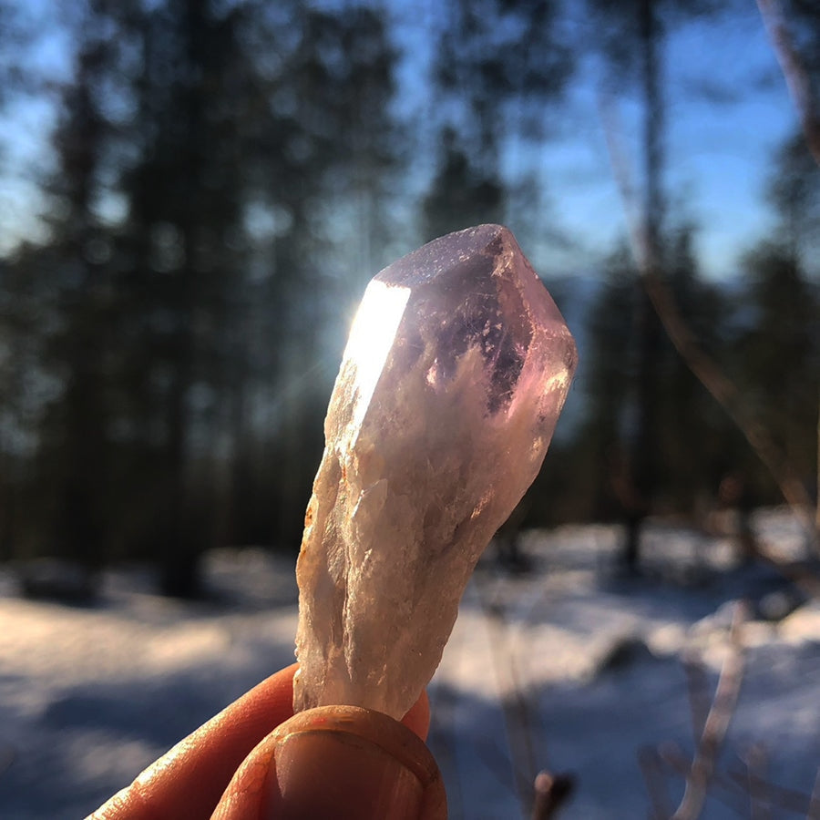 A single raw amethyst shard held up to the winter sun, glowing pale violet at its faceted tip