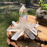 FREE GIVEAWAY! Angel Aura & 8 PC Quartz Shards (Just Pay Cost of Shipping)