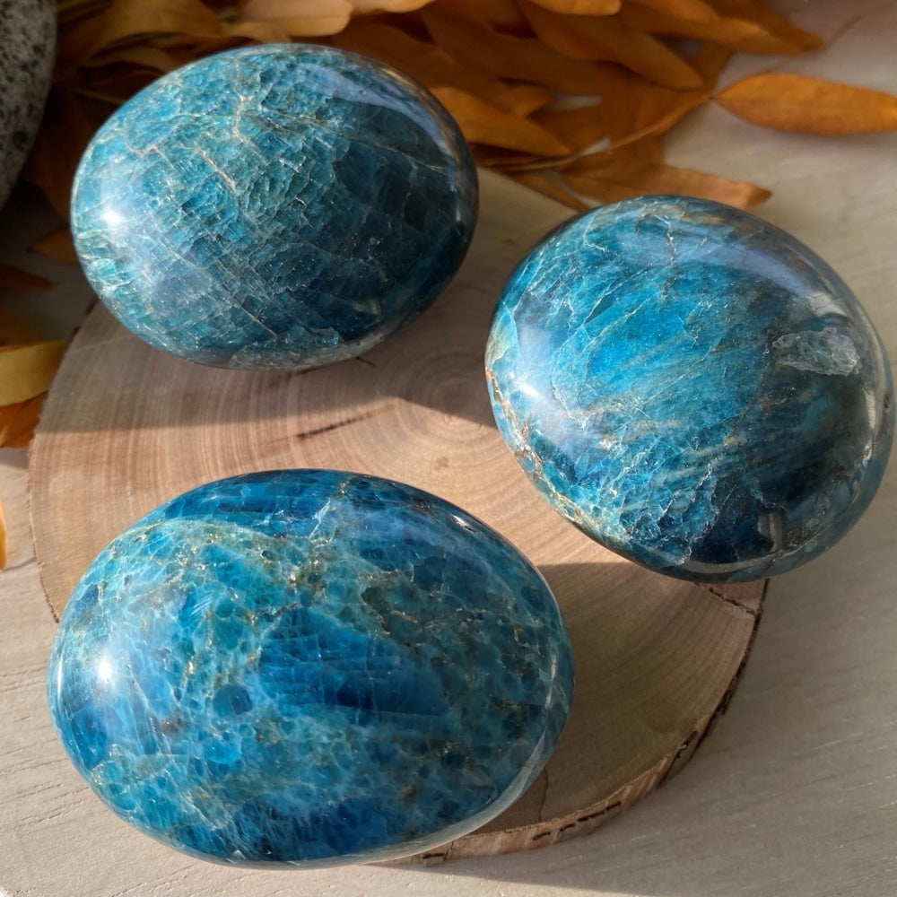 Three apatite palmstones on a wood slice, each with its own mix of bright and deep blue