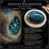 Apatiet Palmstone