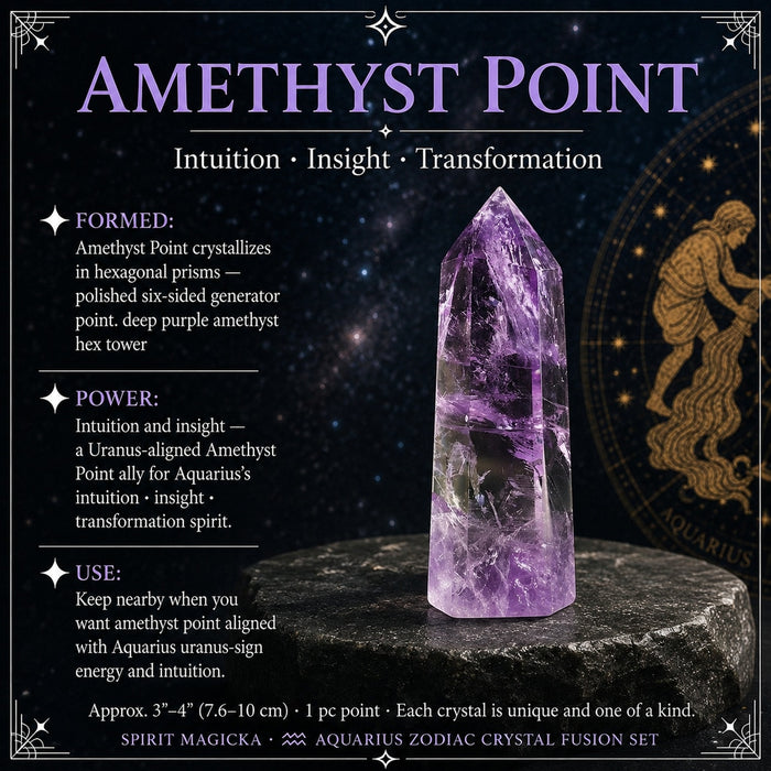 Six-sided polished amethyst point in light purple, standing on a dark stone