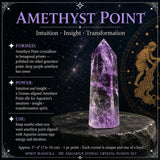 ♒ Aquarius - 20 Ιανουαρίου - 18 Φεβρουαρίου - Zodiac Crystal Fusion Σετ με θήκη