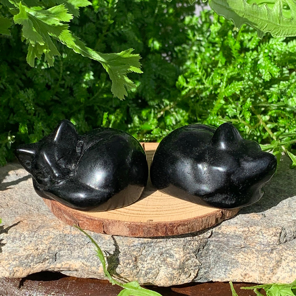 Two polished black agate sleeping cat carvings curled up on a wooden round in front of green ferns