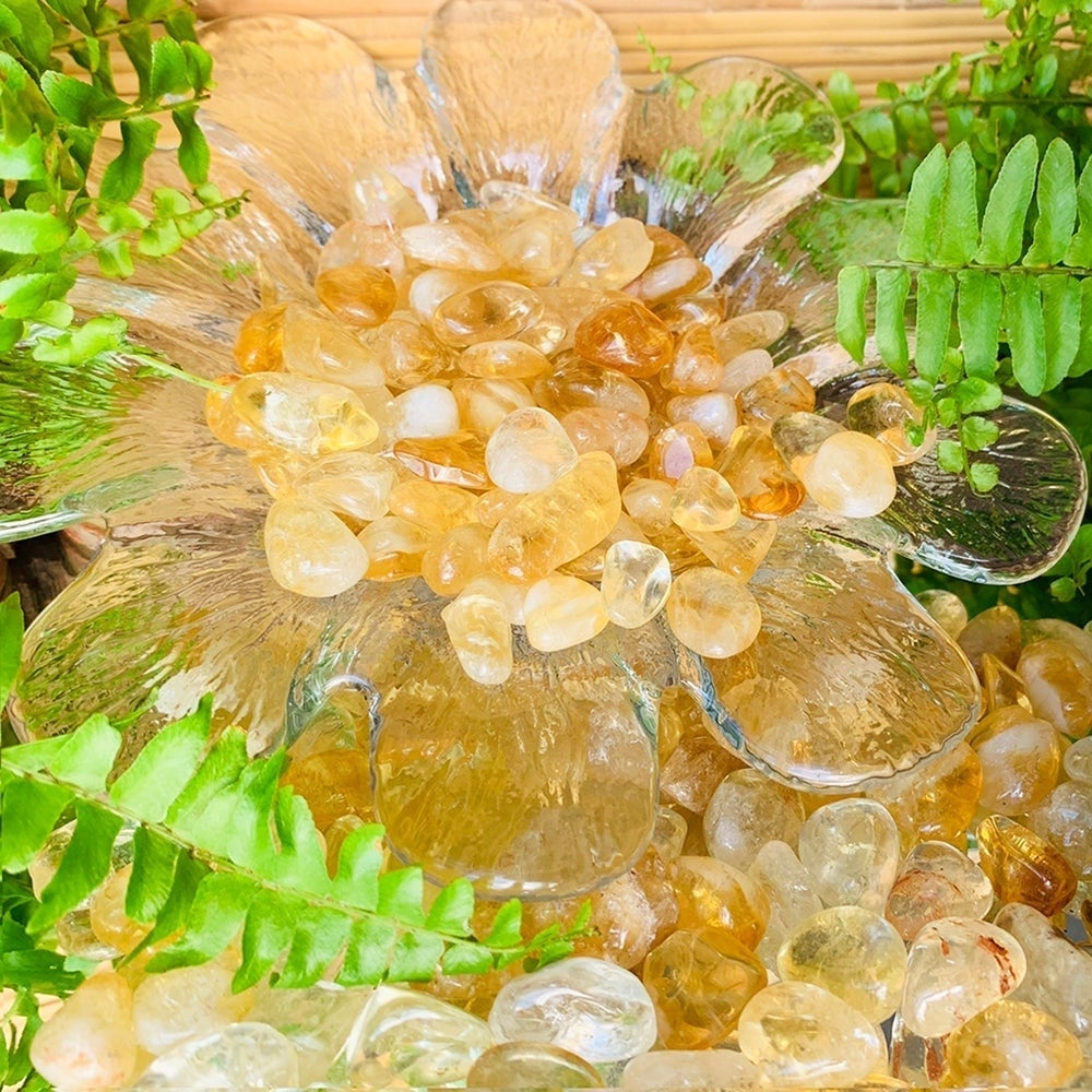 A clear glass flower dish heaped with golden tumbled citrine mini gemstones, framed by green ferns