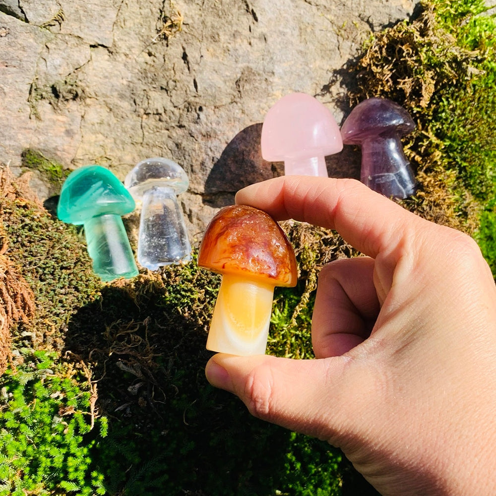 Carnelian mushroom held between finger and thumb in front of mushroom carvings in other stones