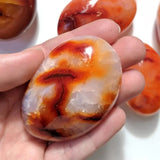 FREE GIVEAWAY! Carnelian Palmstone - (Just Pay Cost of Shipping)