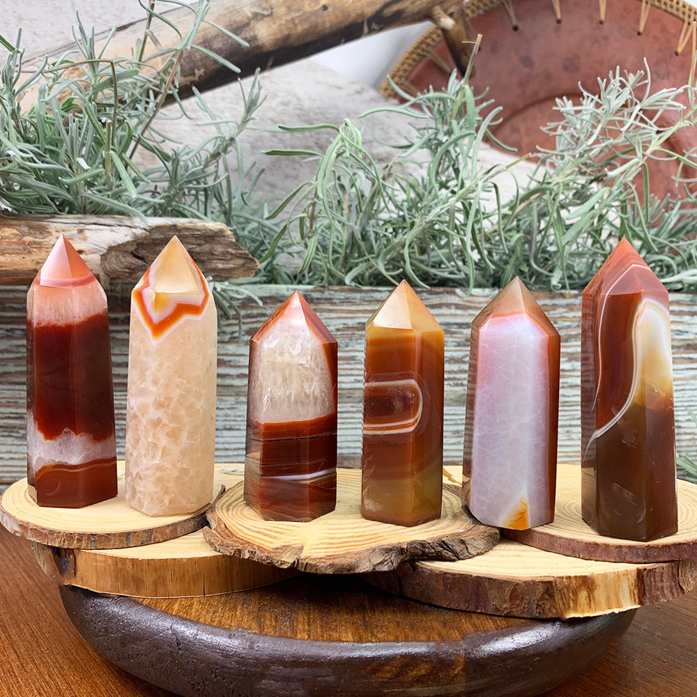 Six polished carnelian points in deep red, orange, gold and cream, standing on wood slices
