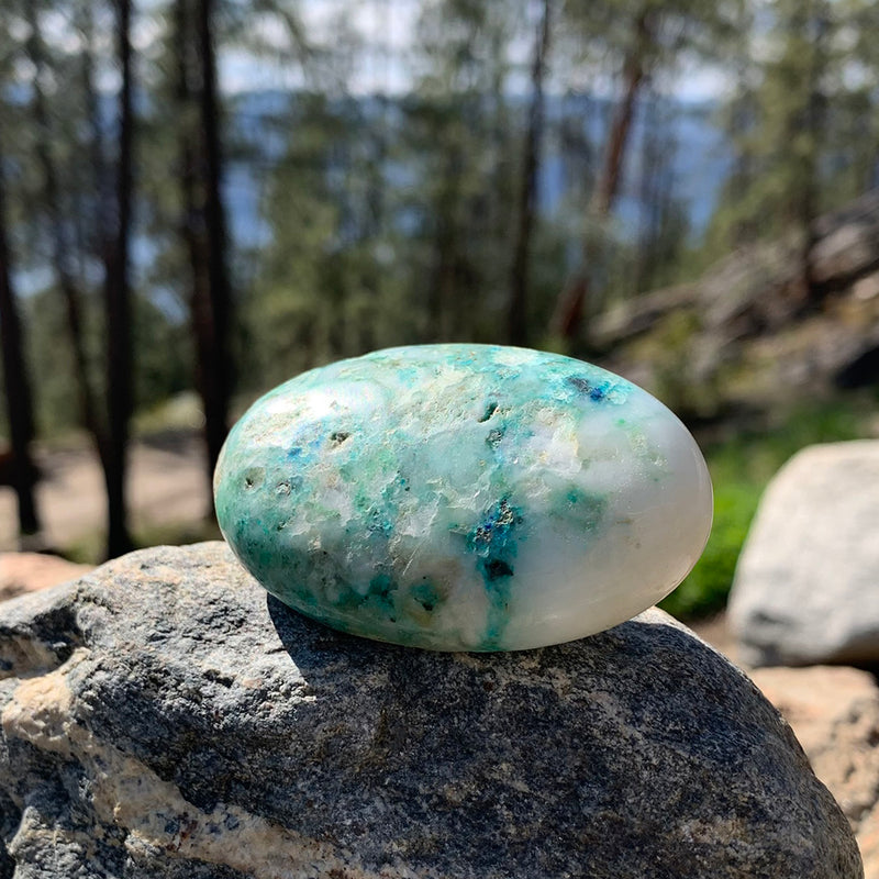 ÜCRETSİZ ÇEKİLİŞ! Chrysocolla Palmstone - (Sadece Kargo Ücretini Ödeyin)