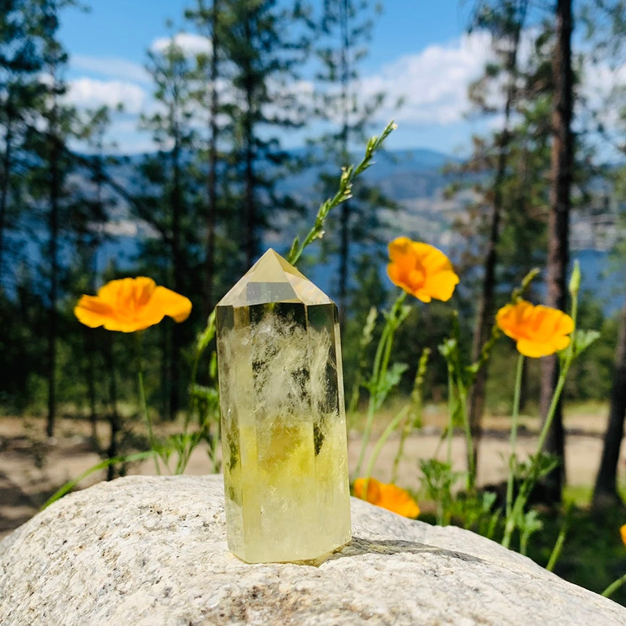 A pale golden citrine point standing on a granite boulder among orange poppies and pine trees