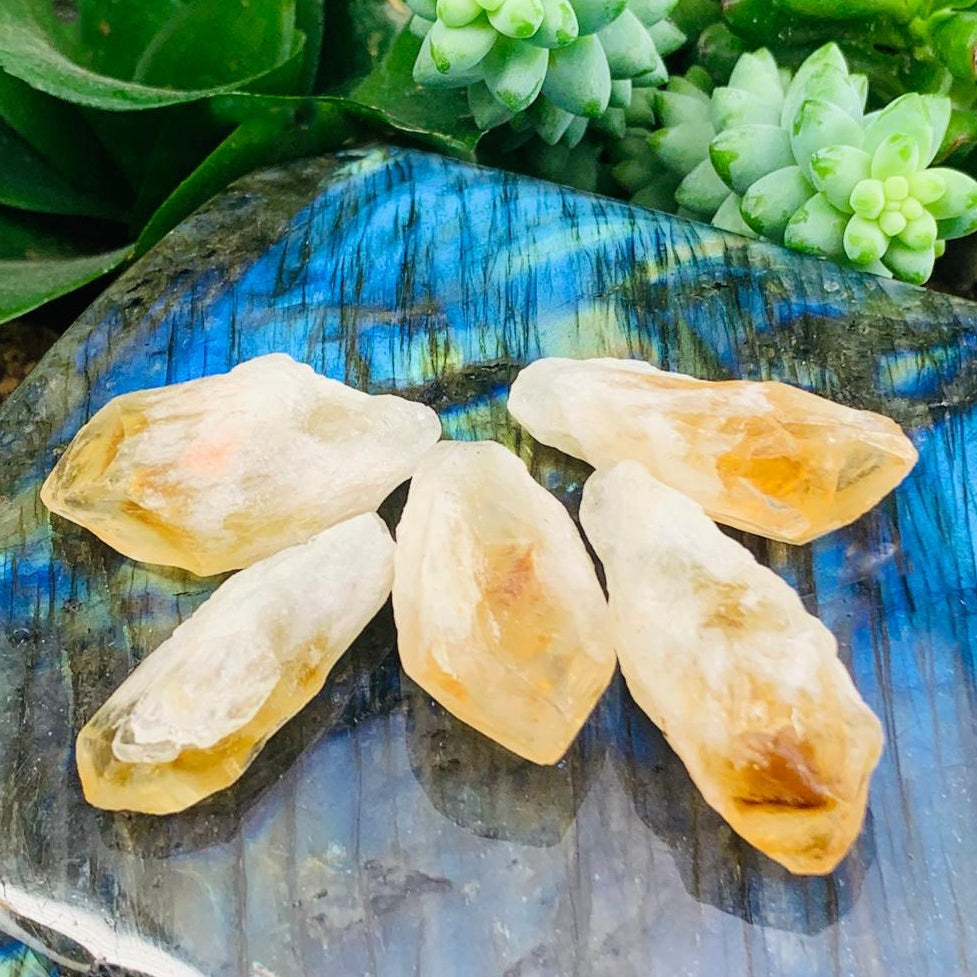 Five raw citrine shards in pale yellow and golden orange resting on a polished labradorite slab