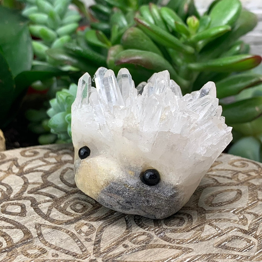Side view of a clear quartz hedgehog showing its fan of crystal quills, resting on a carved wooden board by succulents