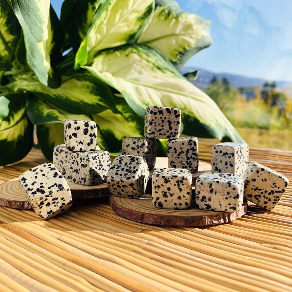 Creamy Dalmatian jasper tumbled cubes dotted with black spots, stacked on wood slices on a bamboo mat beside a leafy plant