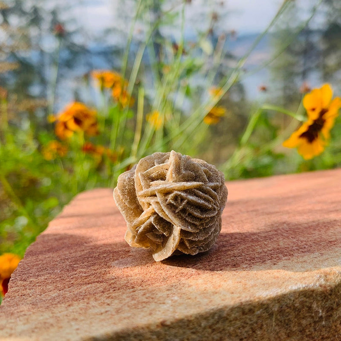 A sandy-brown desert rose formation on a red rock