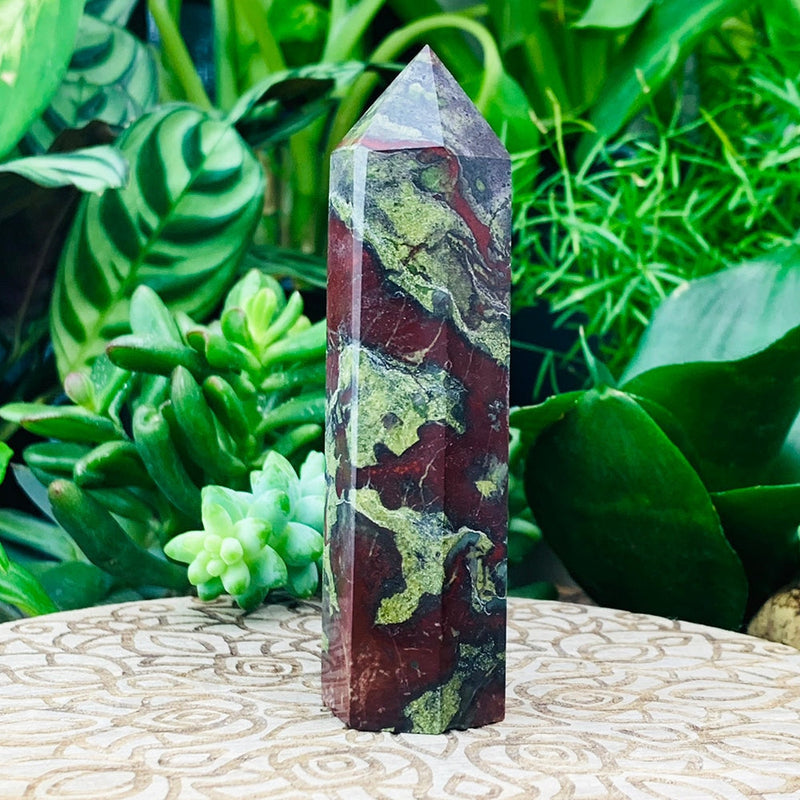 PRIZE WINNER! Dragon's Blood Point