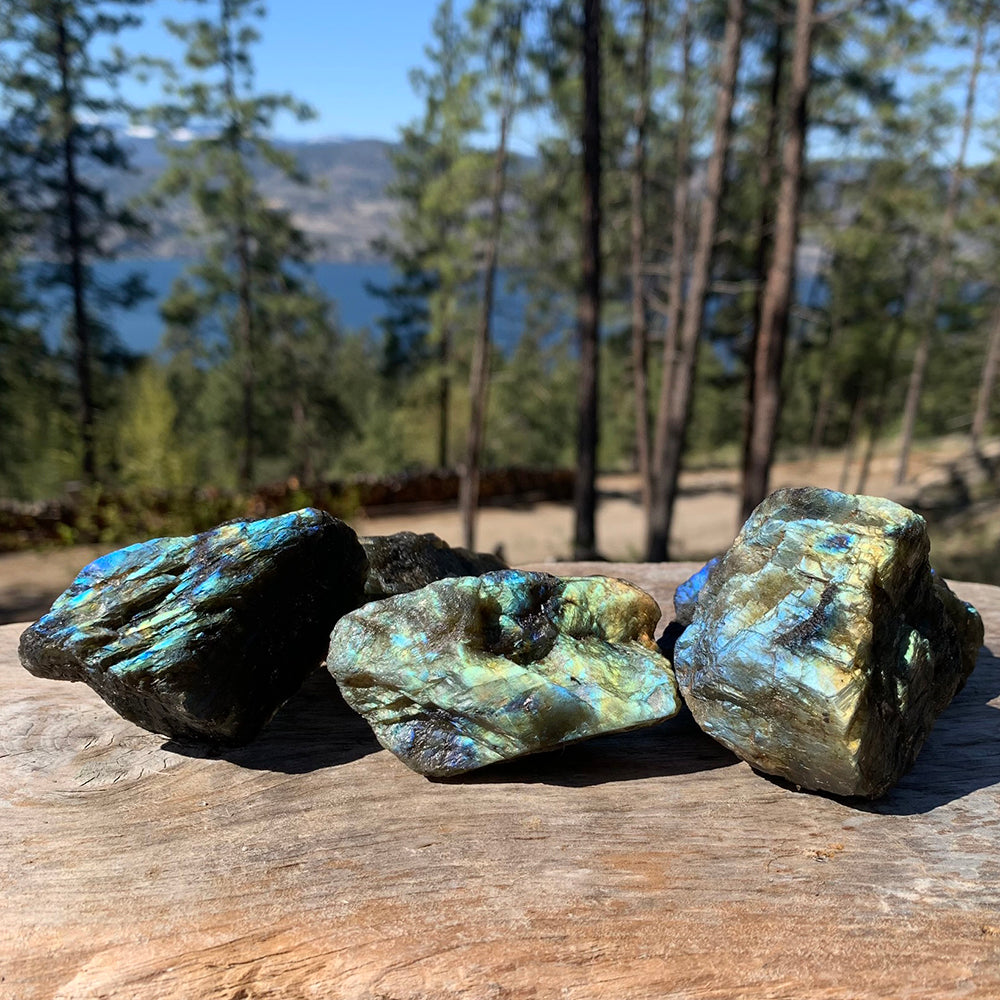 Three rough labradorite pieces on a weathered log, flashing blue, green and gold