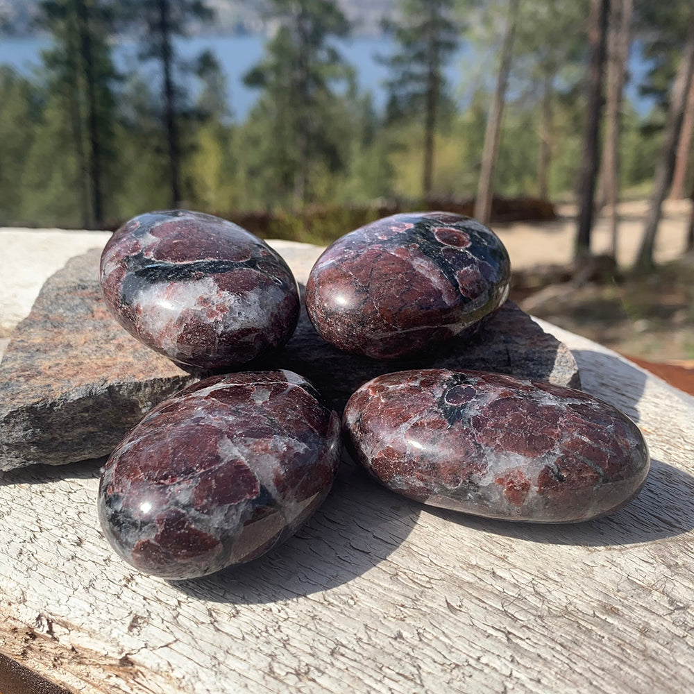 Four red garnet palmstones with different patterns resting on rock and weathered wood outdoors