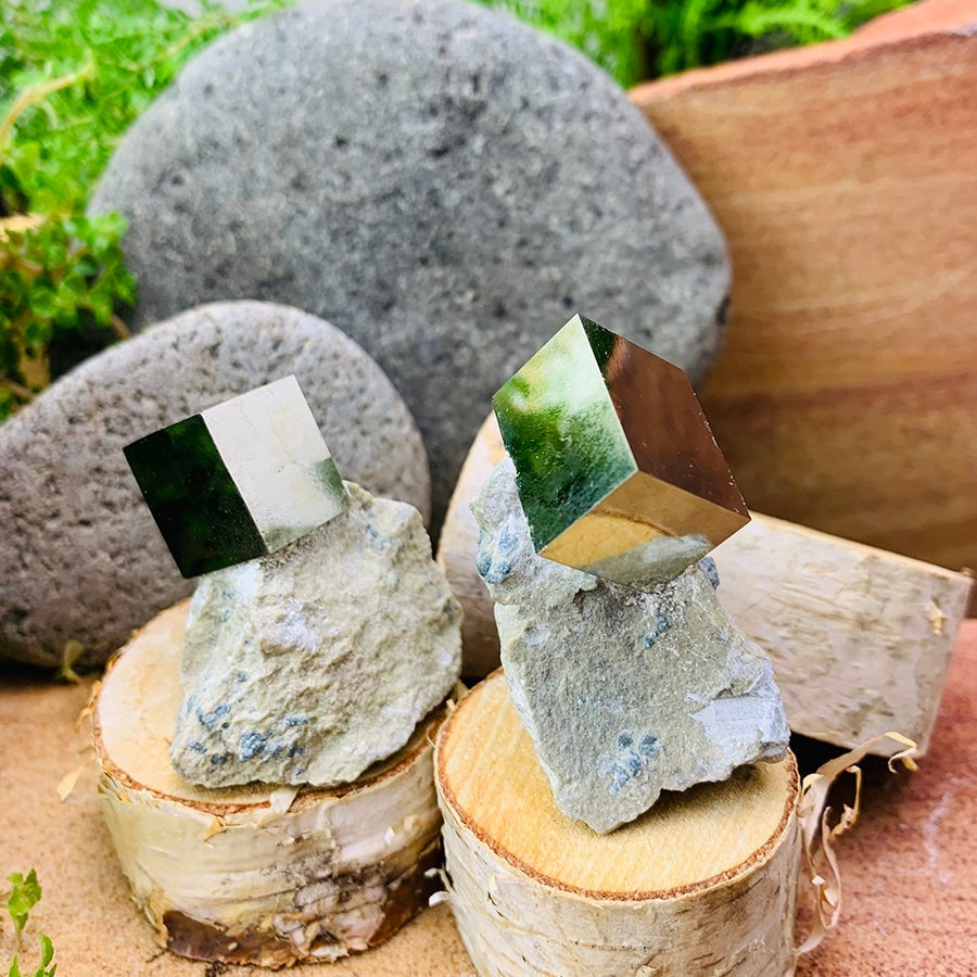 Two iron pyrite cubes, each sitting at its own angle in a separate limestone matrix