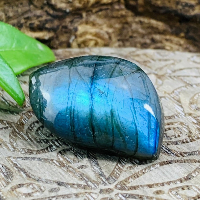 A polished labradorite cabochon flashing blue