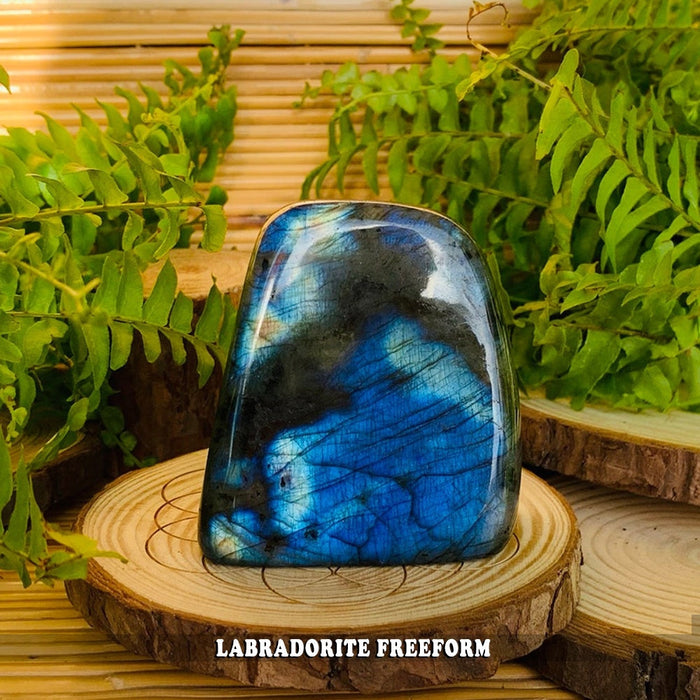 A labradorite freeform standing on a wooden slice among ferns, its broad face bright blue
